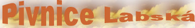 Primary Raster logo
